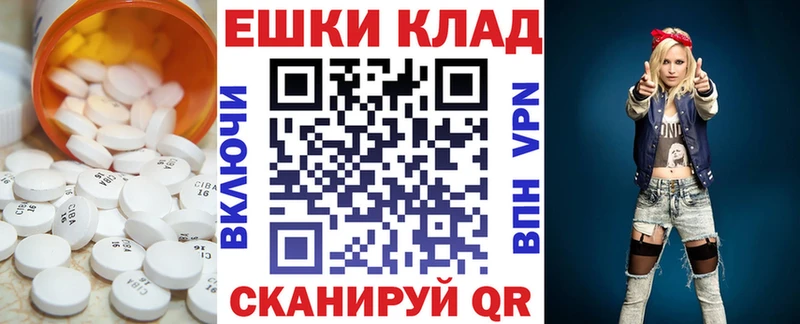 наркотики  Ленинск-Кузнецкий  мега как зайти  ЭКСТАЗИ Philipp Plein 