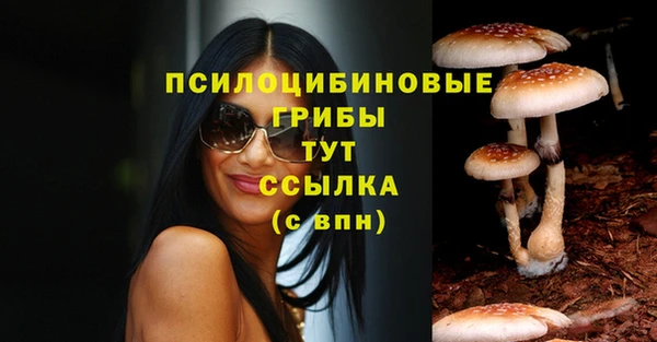мяу мяу мука Армянск