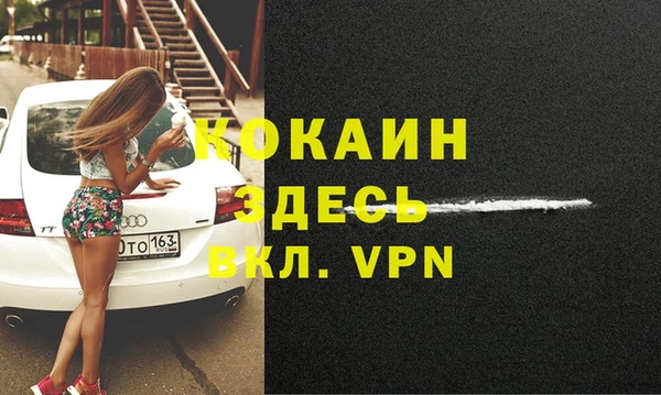 индика Алексин