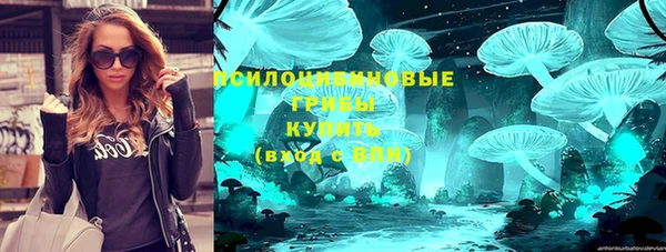 2c-b Алзамай