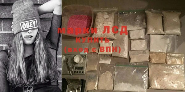 индика Алексин