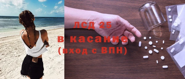 индика Алексин