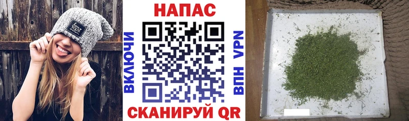 Конопля конопля  Ленинск-Кузнецкий 